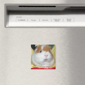 Cavia magneet #2 (Insitu (Vaatwasser))