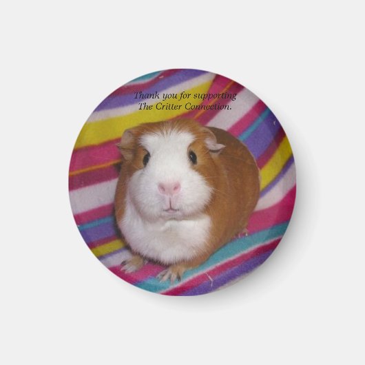 Cavia magneet #3 (Voorkant)