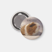 Cavia magneet #5 (Voorkant / Achterkant)