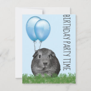Cavia Meisje Blauwe Ballon Aangepaste Verjaardag Kaart