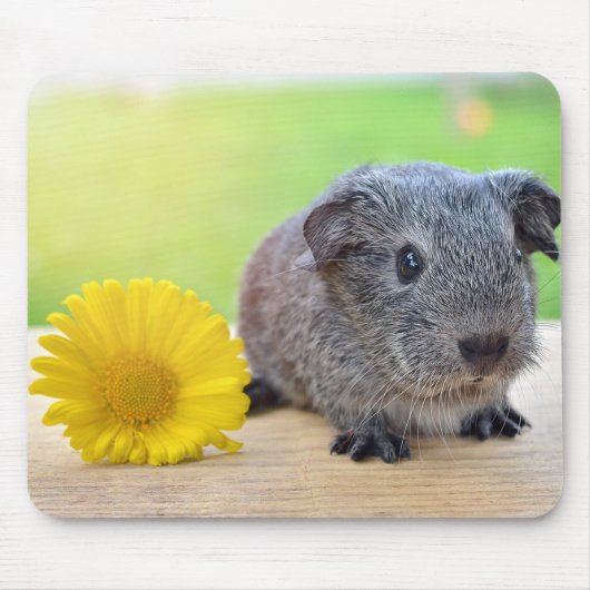 Cavia met Bloem Muismat (Voorkant)