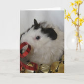 cavia met gouden klokken kaart (Gele Bloem)