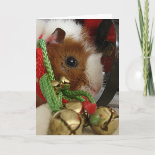 cavia met jinglebellen feestdagen kaart (Voorkant)
