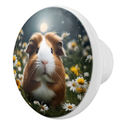 cavia moon madeliefjes, keramische knop (Rechts)