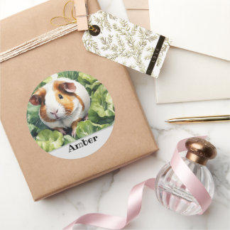 Cavia Naam Cadeauverpakking Ronde Sticker