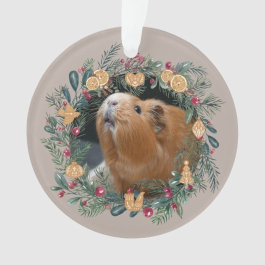 Cavia  ornament (voorkant)