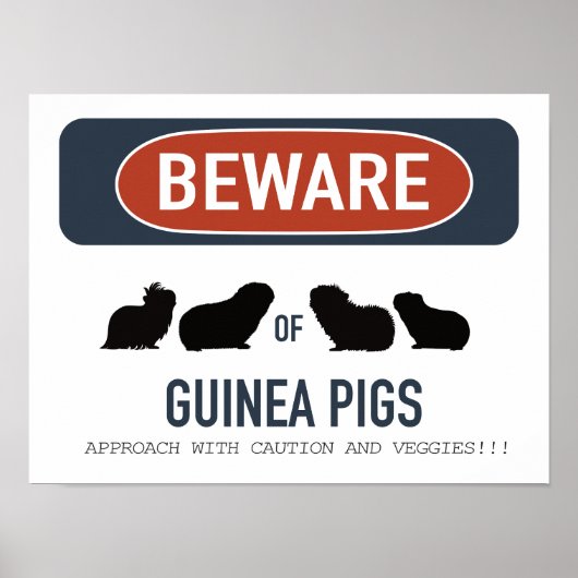 Cavia Pas op Poster (Voorkant)