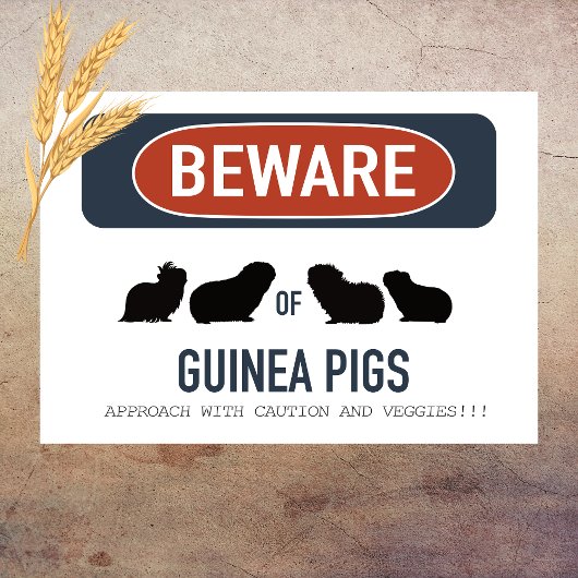 Cavia Pas op Poster