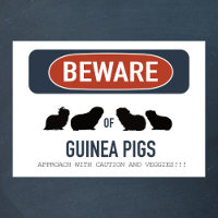 Cavia Pas op Poster