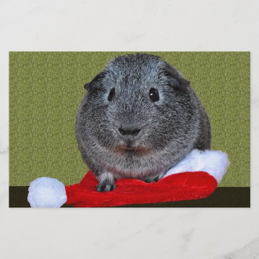 Cavia Pig Kerstmis Briefpapier (Voorkant)