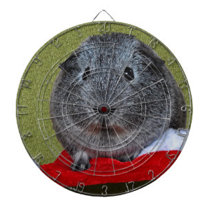 Cavia Pig Kerstmis Dartbord