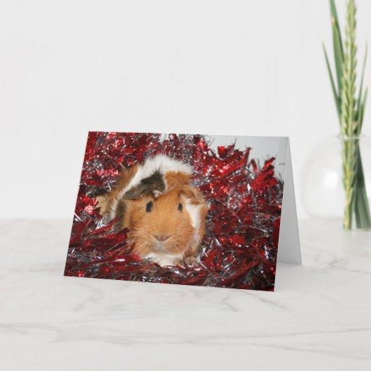 Cavia Pig Kerstmis Feestdagen Kaart (Voorkant)