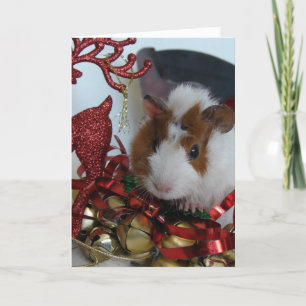 Cavia Pig Kerstmis Feestdagen Kaart