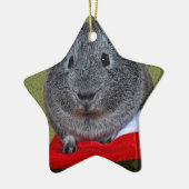 Cavia Pig Kerstmis Keramisch Ornament (Links)