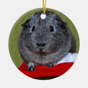 Cavia Pig Kerstmis Keramisch Ornament