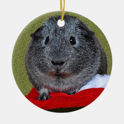 Cavia Pig Kerstmis Keramisch Ornament (Voorkant)