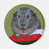 Cavia Pig Kerstmis Magneet (Voorkant)