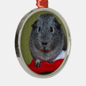 Cavia Pig Kerstmis Metalen Ornament (Rechts)