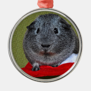 Cavia Pig Kerstmis Metalen Ornament