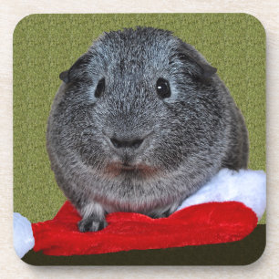 Cavia Pig Kerstmis Onderzetter