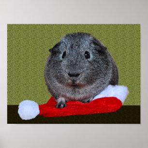 Cavia Pig Kerstmis Poster