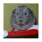 Cavia Pig Kerstmis Tegeltje (Voorkant)