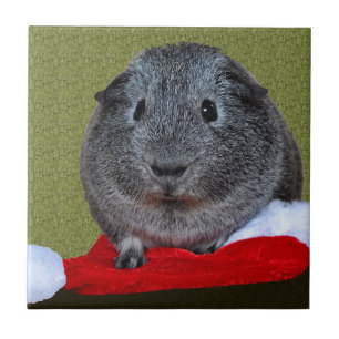 Cavia Pig Kerstmis Tegeltje