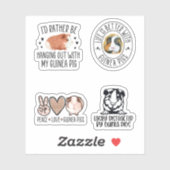 Cavia Pig Sticker Pack, Grappig cavia (Vel)