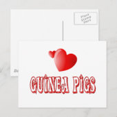 Cavia Pigs Briefkaart (Voorkant / Achterkant)