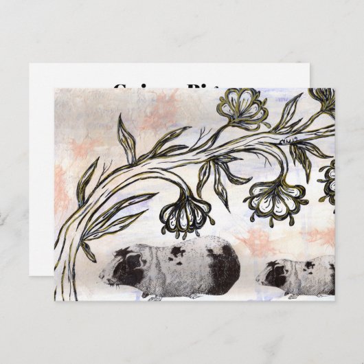 Cavia Pigs Briefkaart (Voorkant / Achterkant)