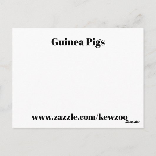 Cavia Pigs Briefkaart (Achterkant)