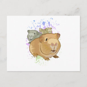 Cavia Pigs Briefkaart