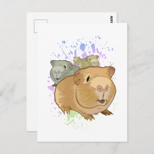 Cavia Pigs Briefkaart (Voorkant / Achterkant)