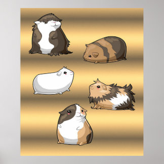 Cavia Pigs | Giften met goudmakreel Poster
