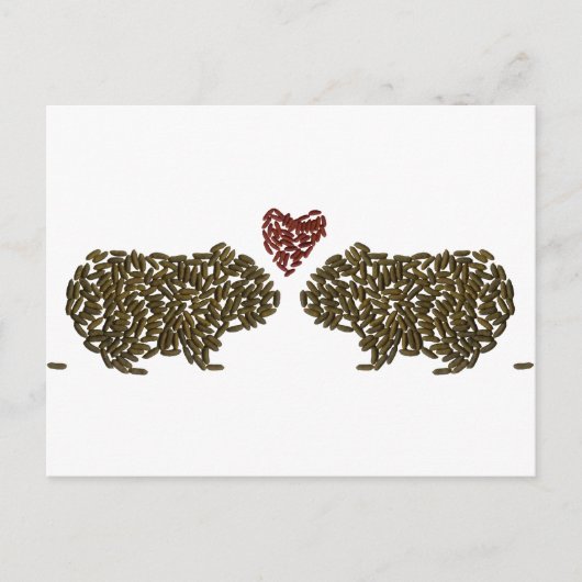 Cavia Pigs in Love Briefkaart (Voorkant)