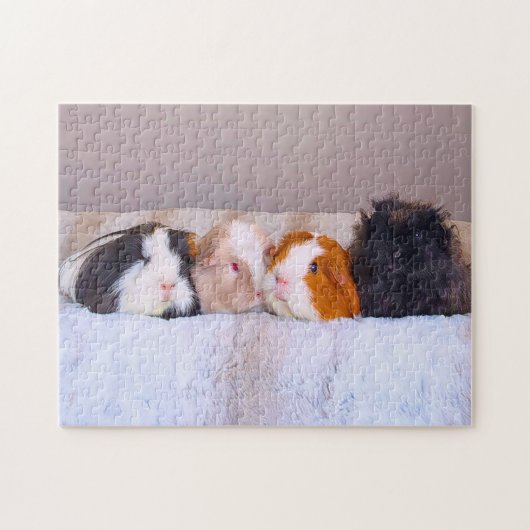 Cavia Pigs Legpuzzel (Horizontaal)