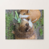 Cavia Pigs Legpuzzel (Horizontaal)