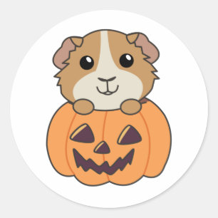 Cavia Pumpkin Zoete Dieren Gelukkig Halloween C Ronde Sticker