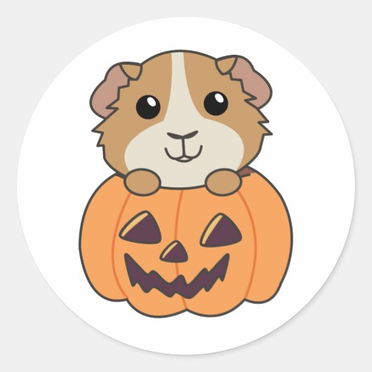 Cavia Pumpkin Zoete Dieren Gelukkig Halloween C Ronde Sticker (Voorkant)