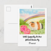 Cavia Regenboog Sympathie met Anjers Naam Briefkaart (Voorkant / Achterkant)