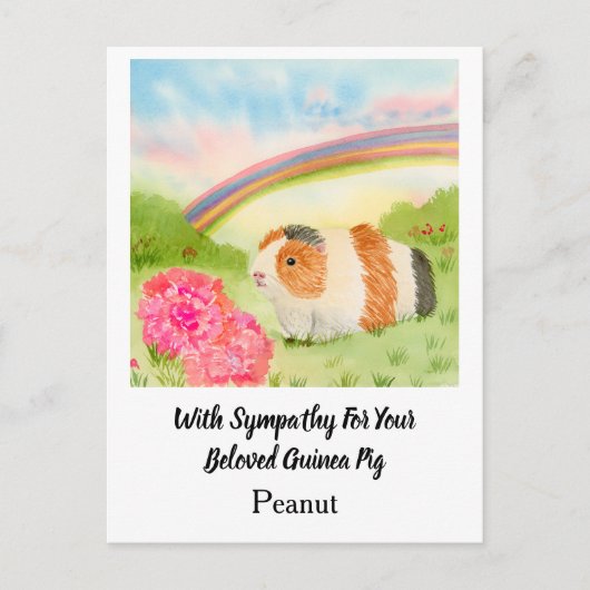 Cavia Regenboog Sympathie met Anjers Naam Briefkaart (Voorkant)
