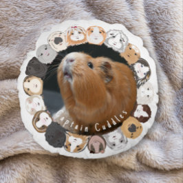 Cavia  rond kussen
