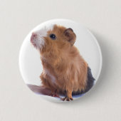 cavia ronde button 5,7 cm (Voorkant)