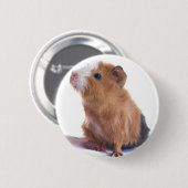 cavia ronde button 5,7 cm (Voorkant /achterkant)