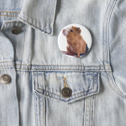 cavia ronde button 5,7 cm (In situ)