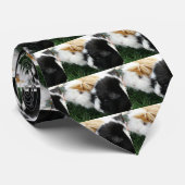 cavia ' s 2 stropdas (Opgerold)