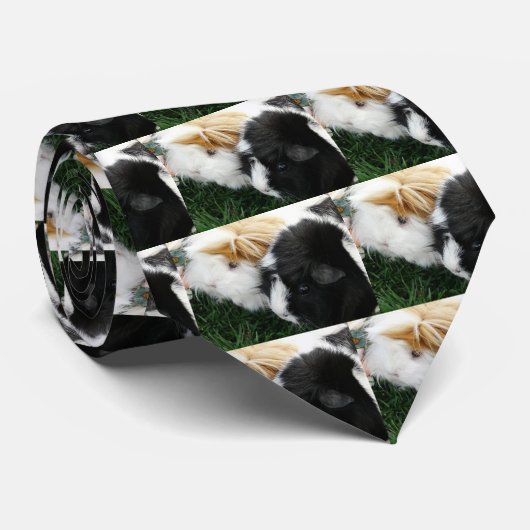 cavia ' s 2 stropdas (Opgerold)