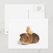 cavia ' s en gele vogel briefkaart (Voorkant / Achterkant)