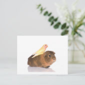 cavia ' s en gele vogel briefkaart (Staand voorkant)