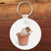cavia ' s in een bloempot sleutelhanger (Voorkant)